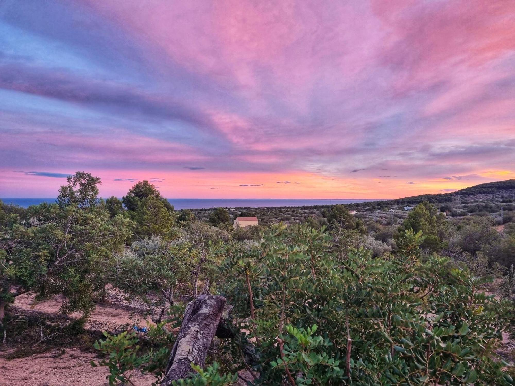 Finca Llambrich L'Ametlla de Mar Εξωτερικό φωτογραφία