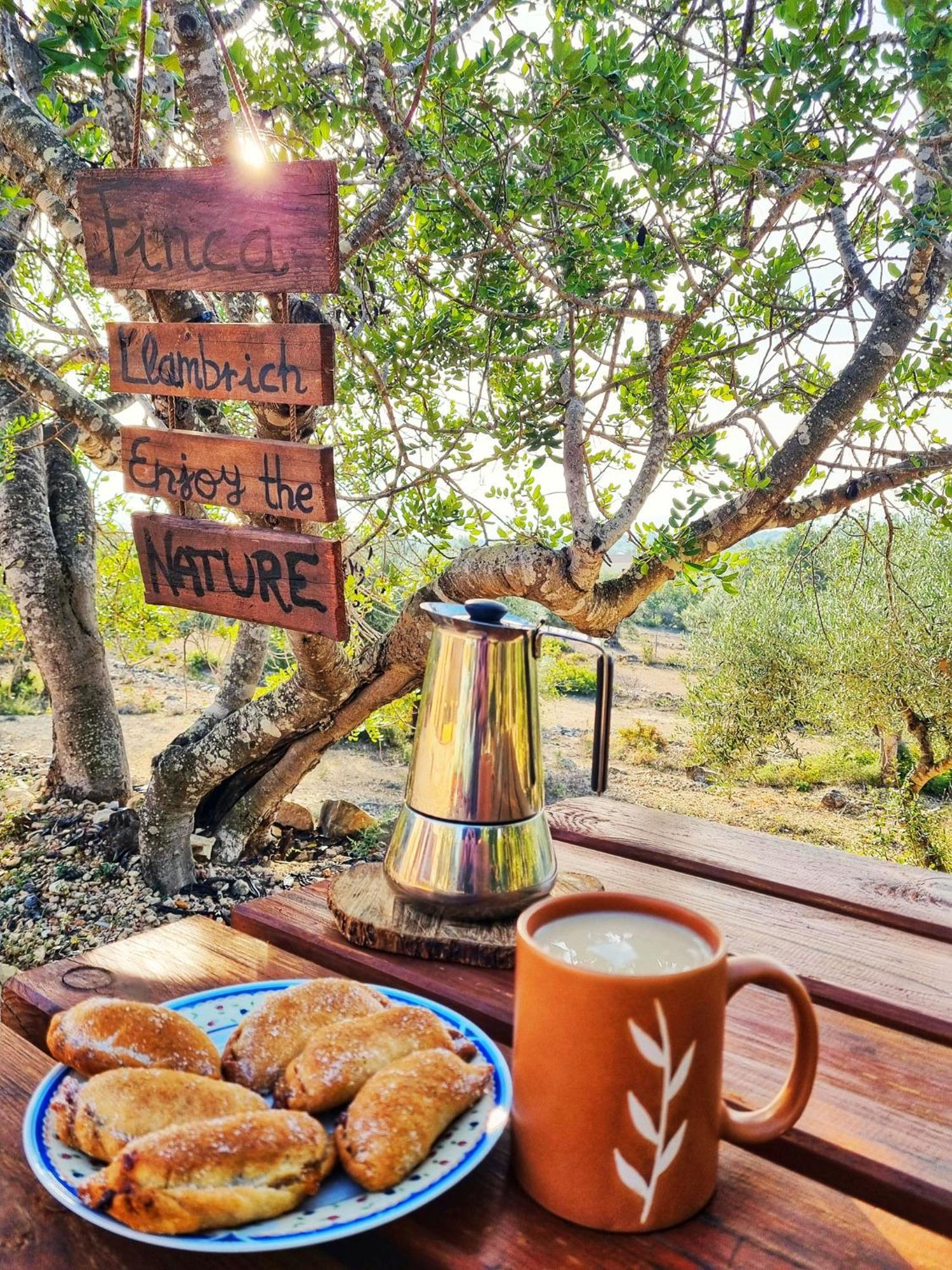 Finca Llambrich L'Ametlla de Mar Εξωτερικό φωτογραφία