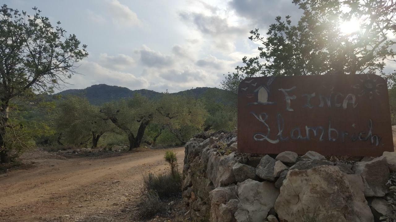 Finca Llambrich L'Ametlla de Mar Εξωτερικό φωτογραφία