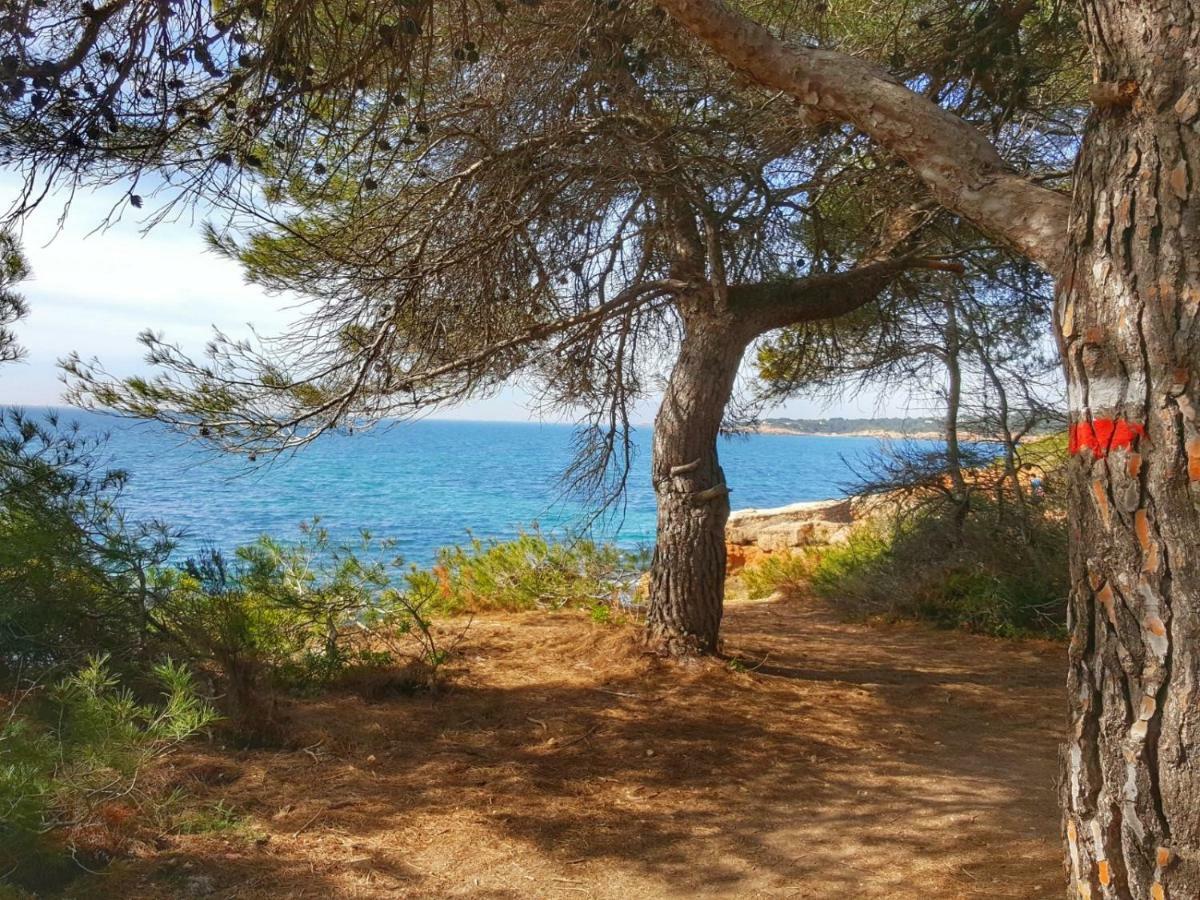 Finca Llambrich L'Ametlla de Mar Εξωτερικό φωτογραφία